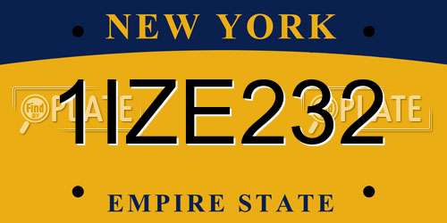 1IZE232 New York License Plate