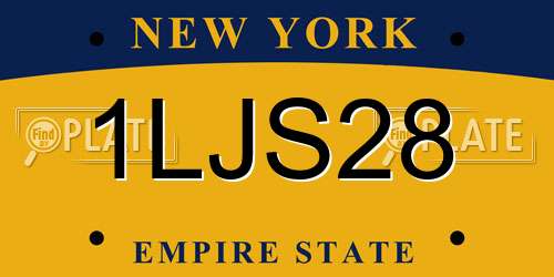 1LJS28 New York License Plate