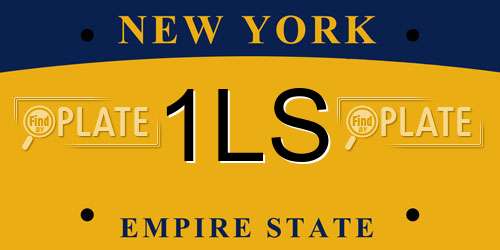 1LS New York License Plate