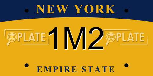 1M2 New York License Plate