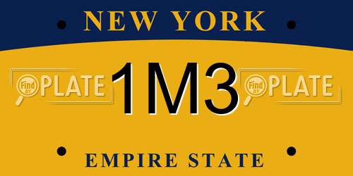 1M3 New York License Plate