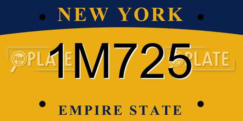 1M725 New York License Plate