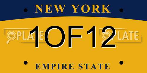 1OF12 New York License Plate