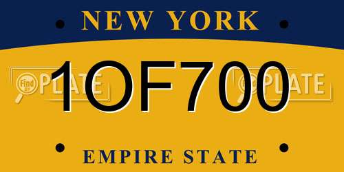 1OF700 New York License Plate