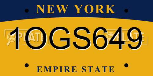 1OGS649 New York License Plate