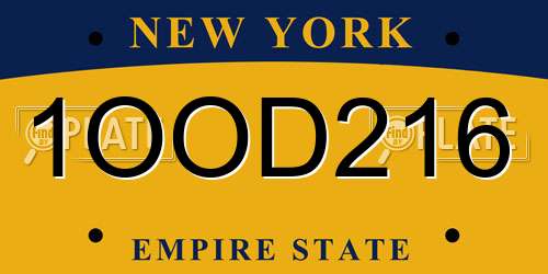 1OOD216 New York License Plate