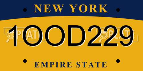 1OOD229 New York License Plate