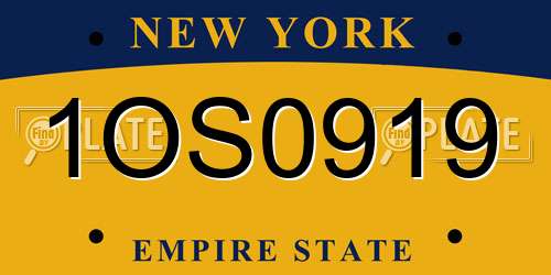 1OS0919 New York License Plate