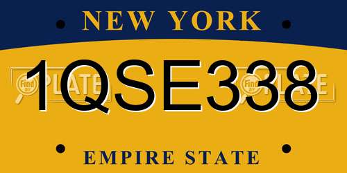1QSE338 New York License Plate