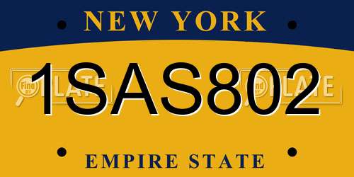 1SAS802 New York License Plate