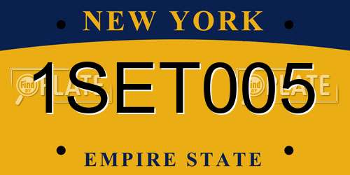 1SET005 New York License Plate