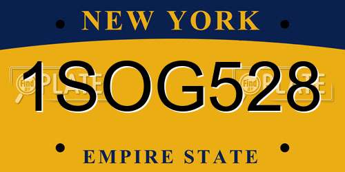 1SOG528 New York License Plate