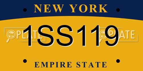 1SS119 New York License Plate