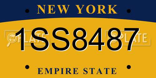 1SS8487 New York License Plate