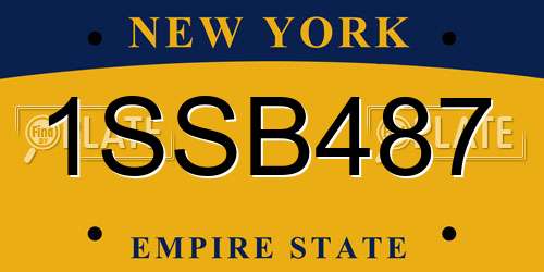 1SSB487 New York License Plate