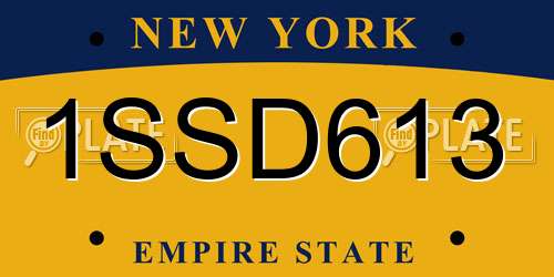 1SSD613 New York License Plate