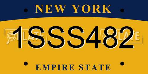 1SSS482 New York License Plate