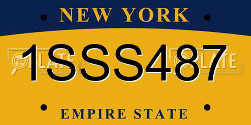 1SSS487 New York License Plate