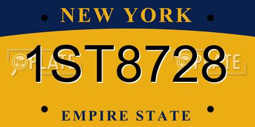 1ST8728 New York License Plate