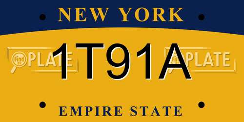 1T91A New York License Plate