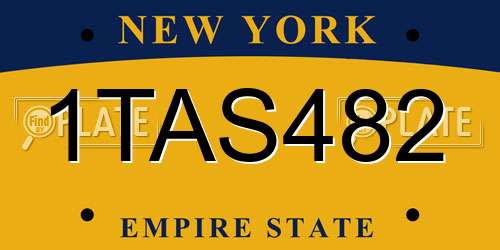 1TAS482 New York License Plate