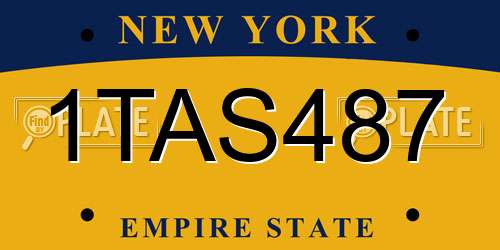 1TAS487 New York License Plate