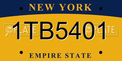1TB5401 New York License Plate