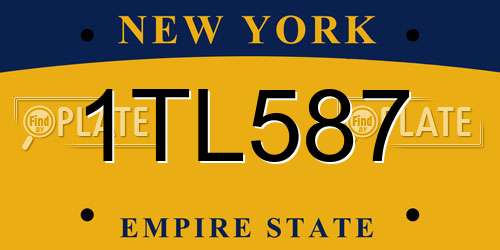 1TL587 New York License Plate