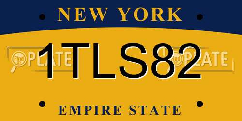 1TLS82 New York License Plate