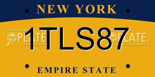 1TLS87 New York License Plate