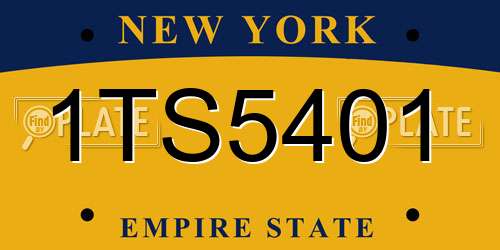1TS5401 New York License Plate