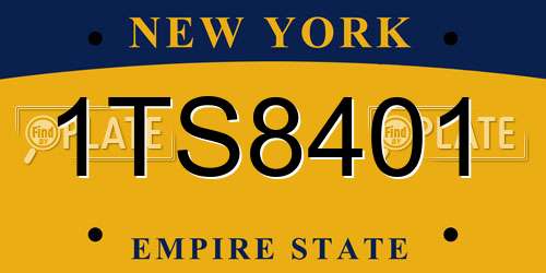 1TS8401 New York License Plate