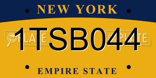 1TSB044 New York License Plate