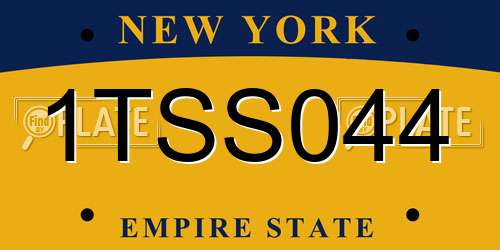 1TSS044 New York License Plate