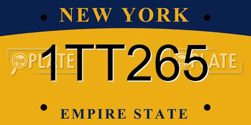 1TT265 New York License Plate