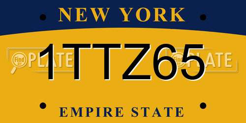 1TTZ65 New York License Plate
