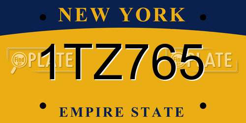 1TZ765 New York License Plate