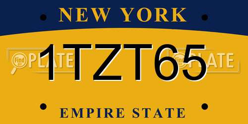 1TZT65 New York License Plate