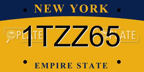 1TZZ65 New York License Plate