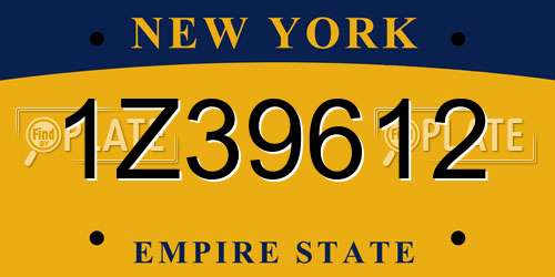 1Z39612 New York License Plate