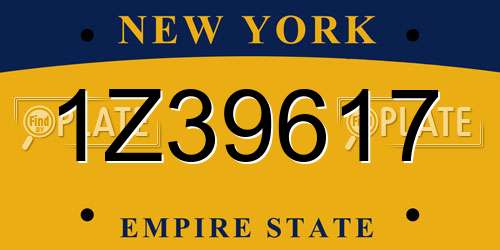 1Z39617 New York License Plate