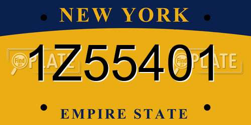 1Z55401 New York License Plate