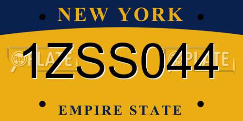 1ZSS044 New York License Plate