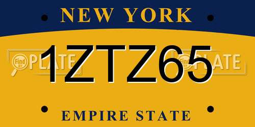 1ZTZ65 New York License Plate