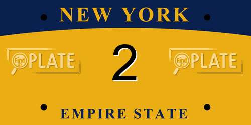2 New York License Plate