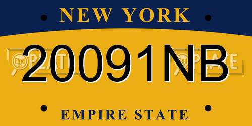 20091NB New York License Plate