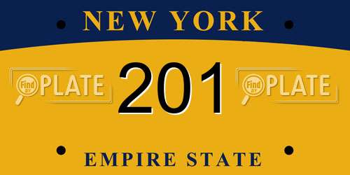 201 New York License Plate