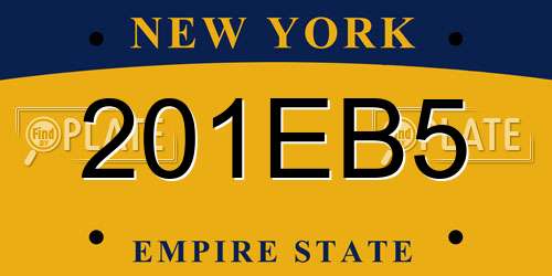 201EB5 New York License Plate