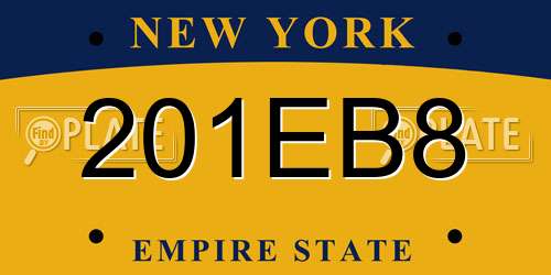 201EB8 New York License Plate