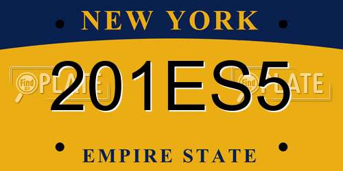 201ES5 New York License Plate